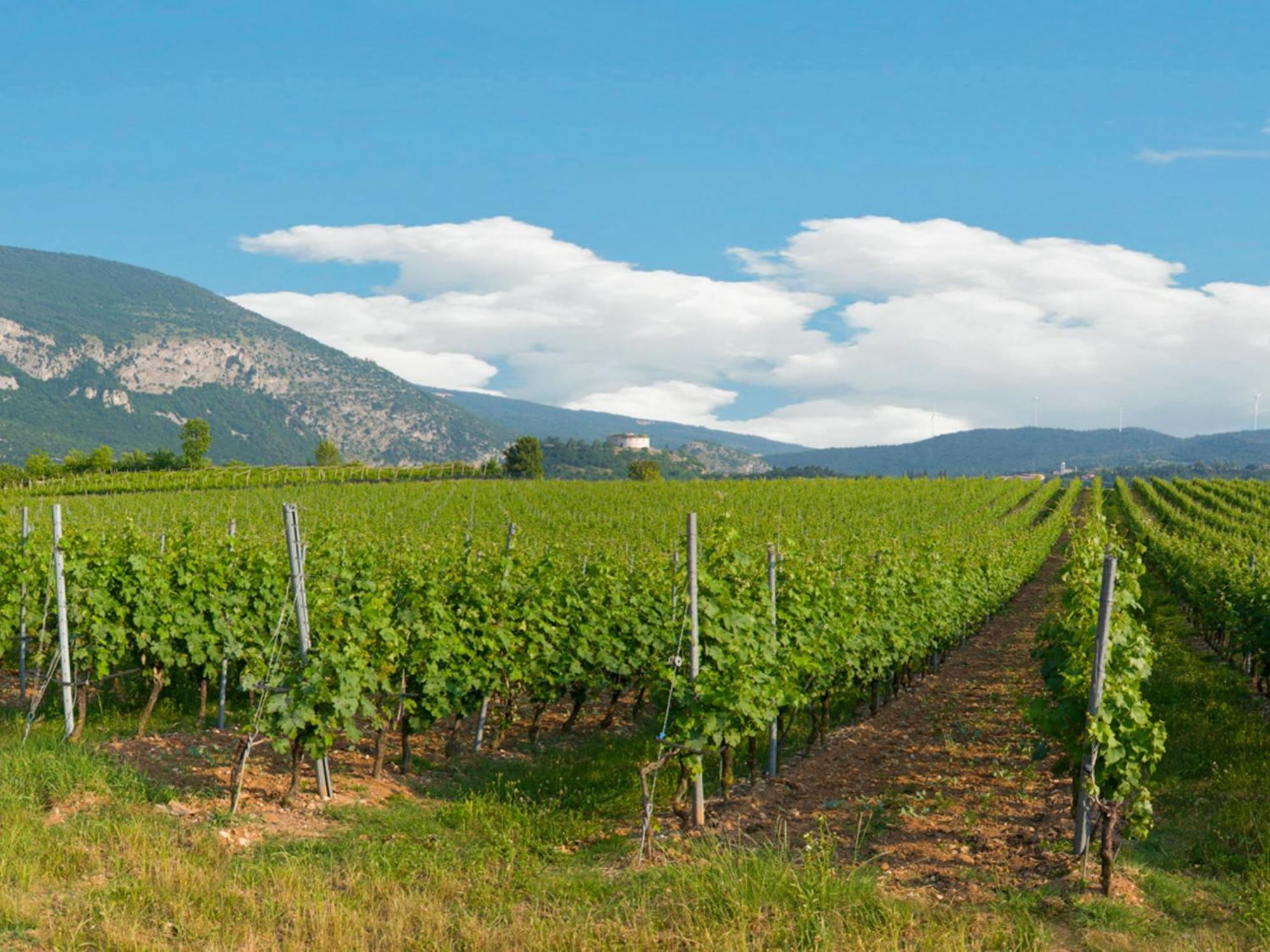 Tenuta La Presa Caprino Veronese Ngoại thất bức ảnh