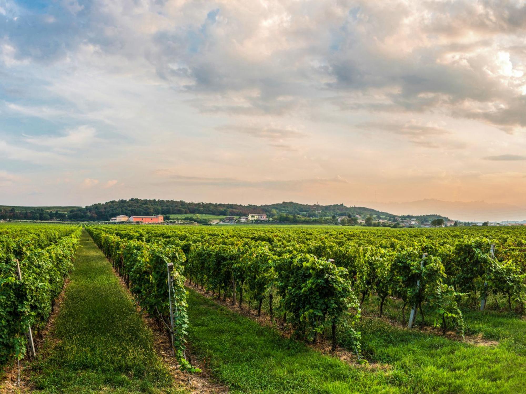 Tenuta La Presa Caprino Veronese Ngoại thất bức ảnh